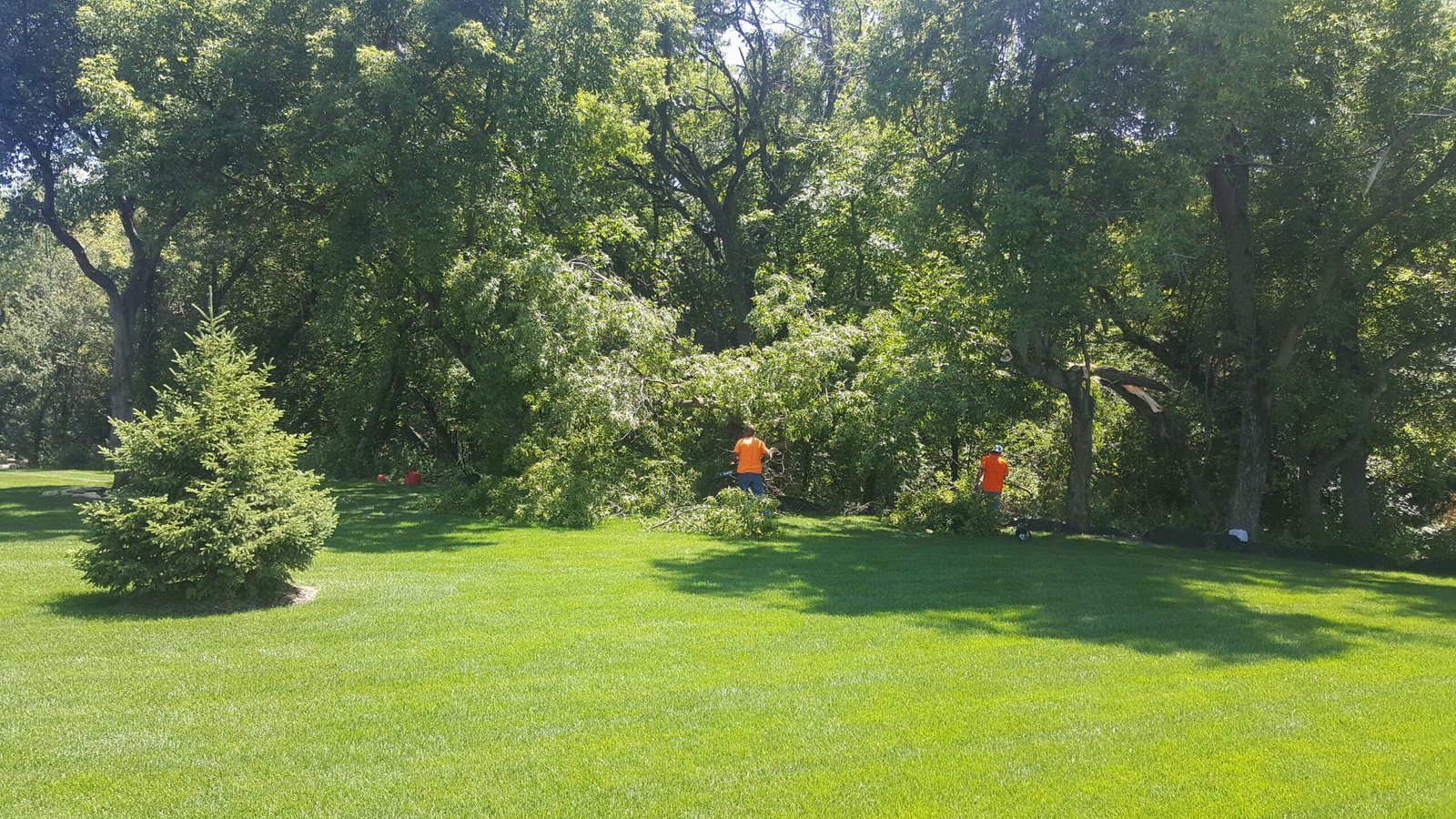 lawncare